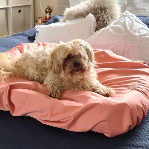 Dog Sheet SALMON PINK