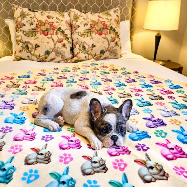 Washable pet blankets